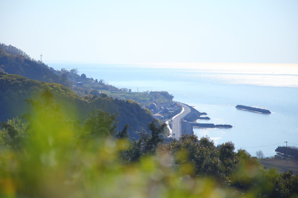 ふるさと納税事業におけるマーケティング及び業務支援