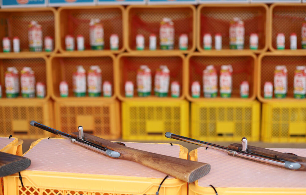 四国の“愛でたい”魅力を、デジタルで未来へ