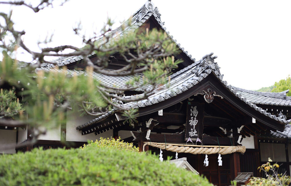 四国の“愛でたい”魅力を、デジタルで未来へ