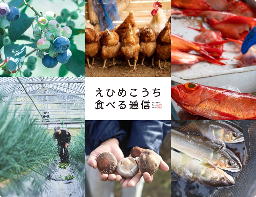 えひめこうち食べる通信